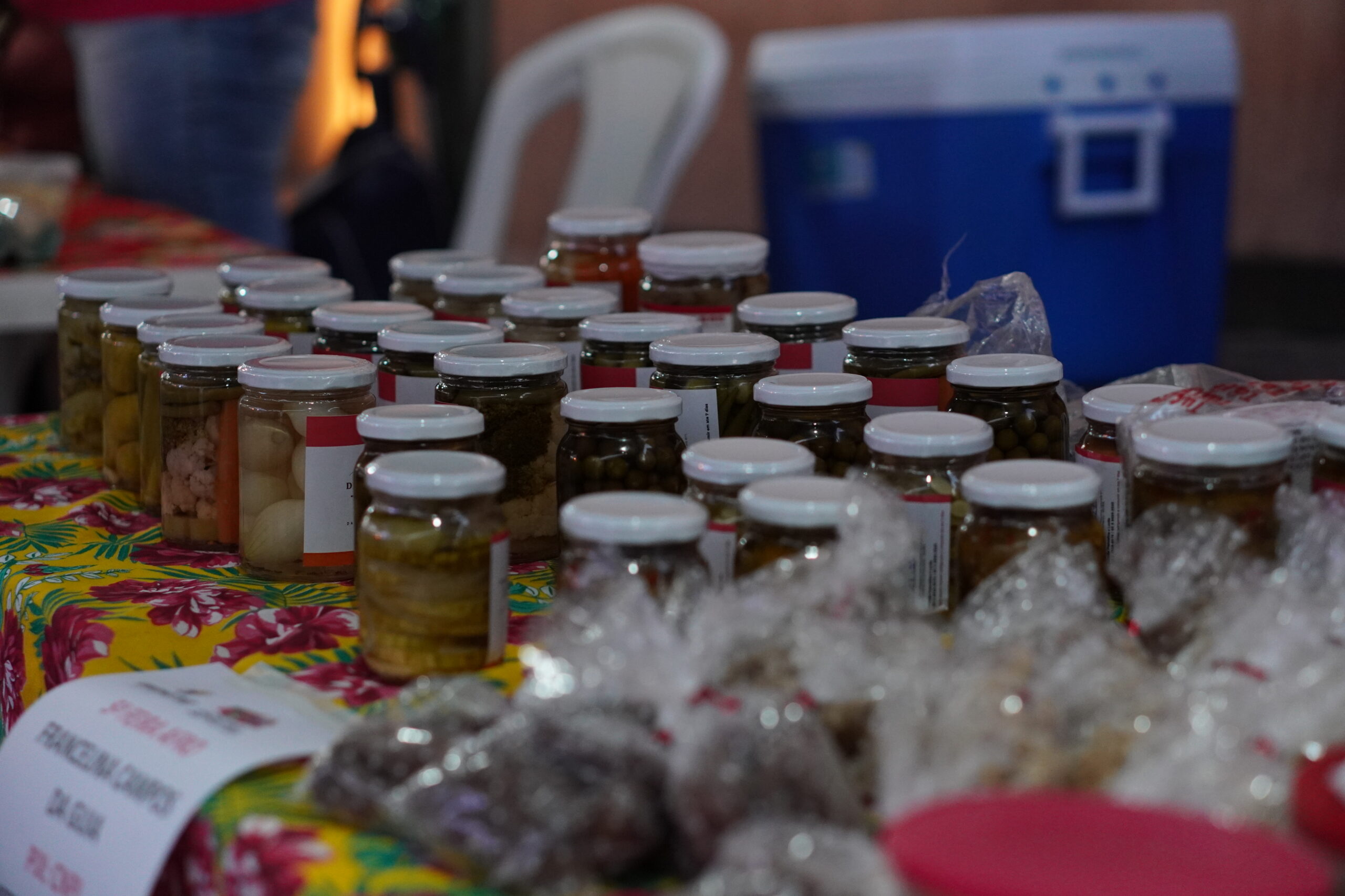 Feira Afro | 5ª Edição